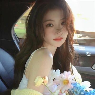 寅次郎的故事6：纯情篇